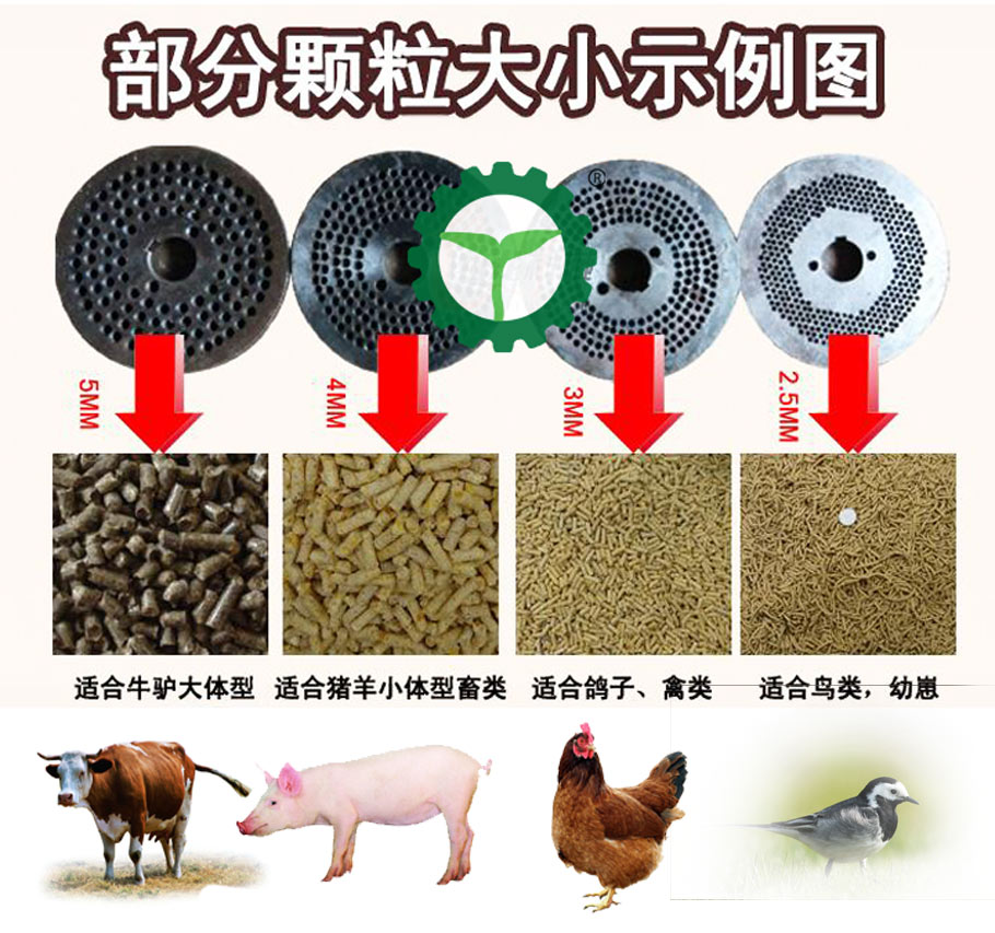 28圈注册网站(中国游)官方平台入口