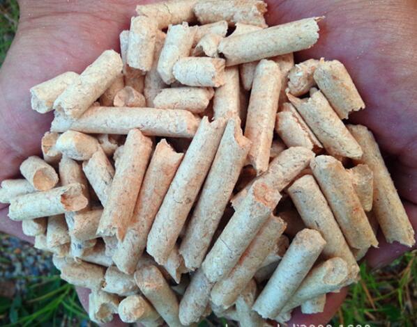 生物质颗；；；；；；；；底氨