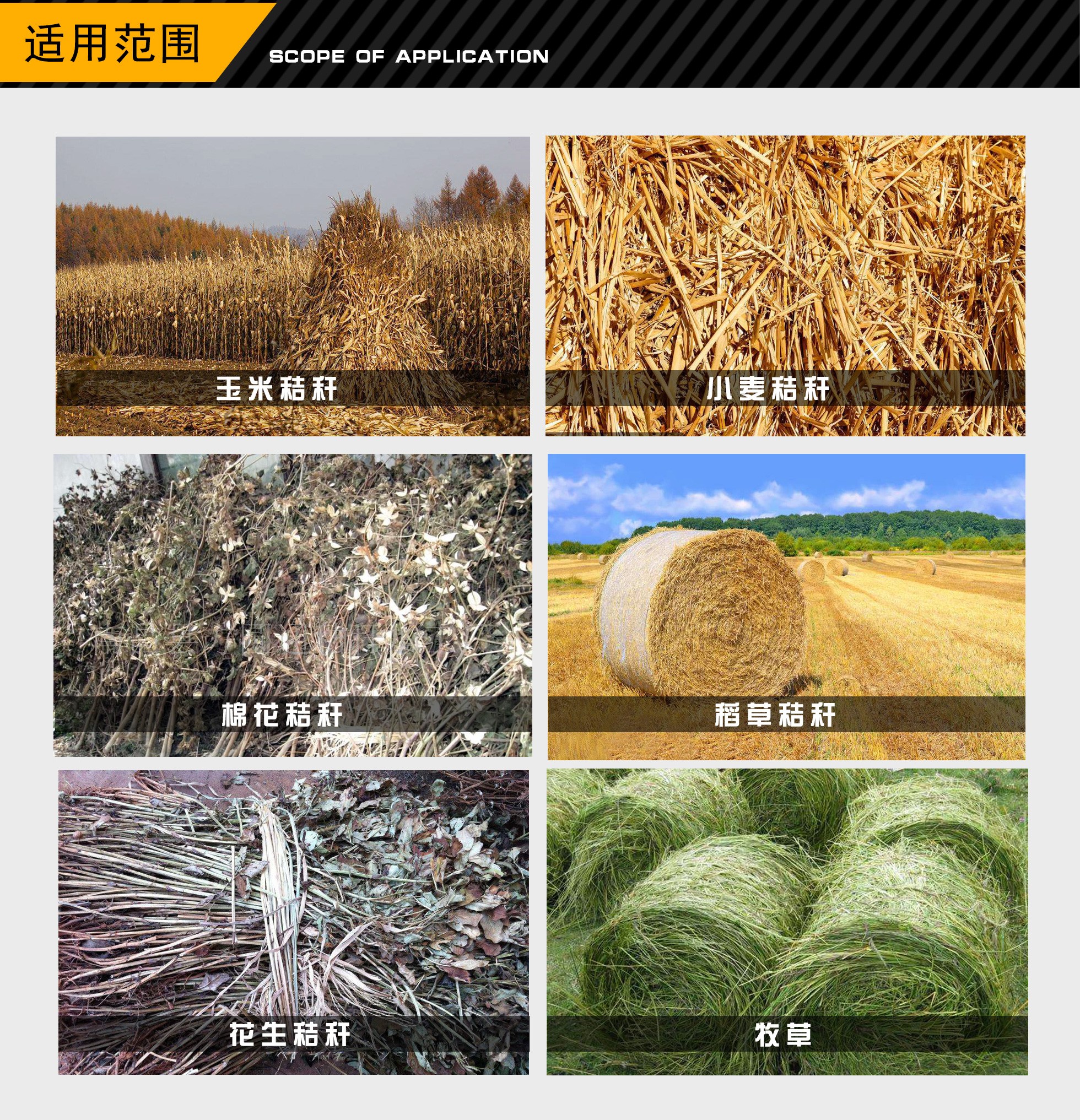 28圈注册网站(中国游)官方平台入口