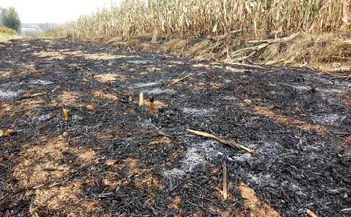 秸秆颗粒；；；；；；；鎏斫崭咽褂们道，，，，，，镌汰秸秆乱烧征象