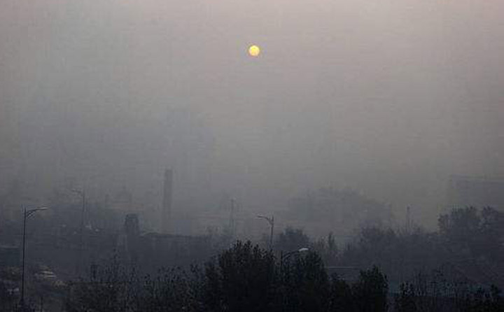 生物质颗；；；；；；；；