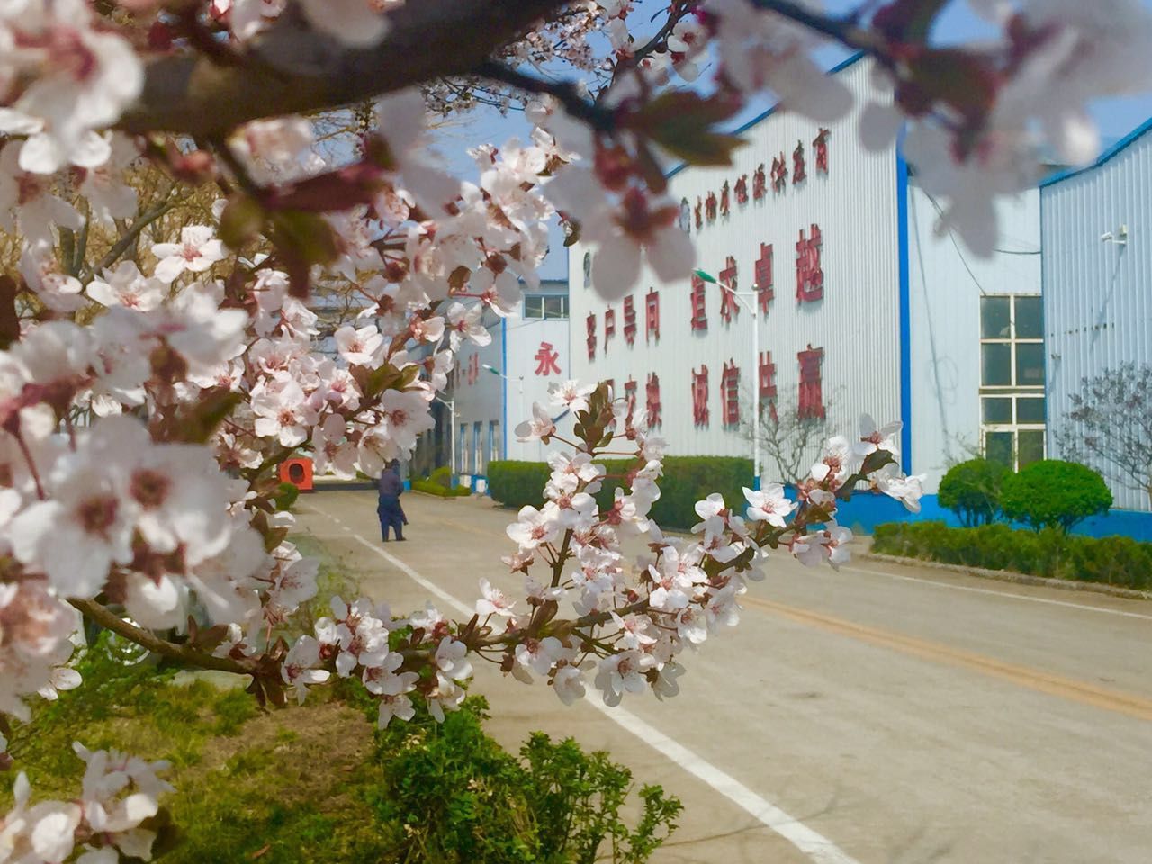 生物质颗；；；；；；