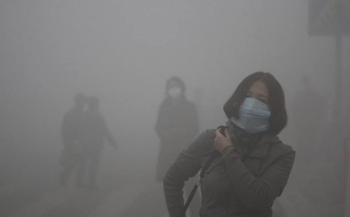 生物质颗粒；；；；