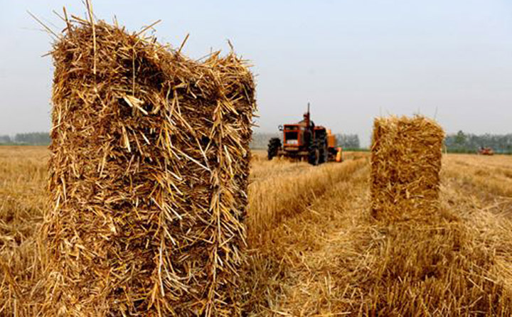 生物质颗粒；；；；；