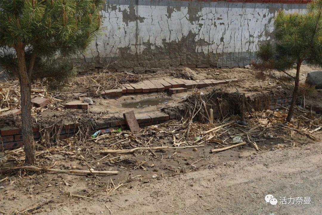 生物质颗；；；；；；；；