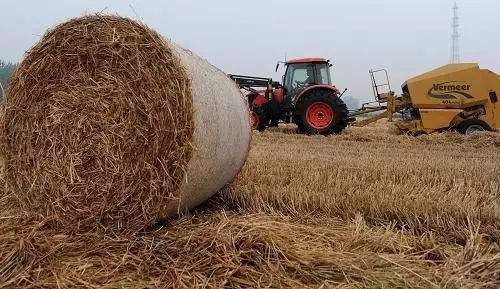 生物质颗；；；；；；；