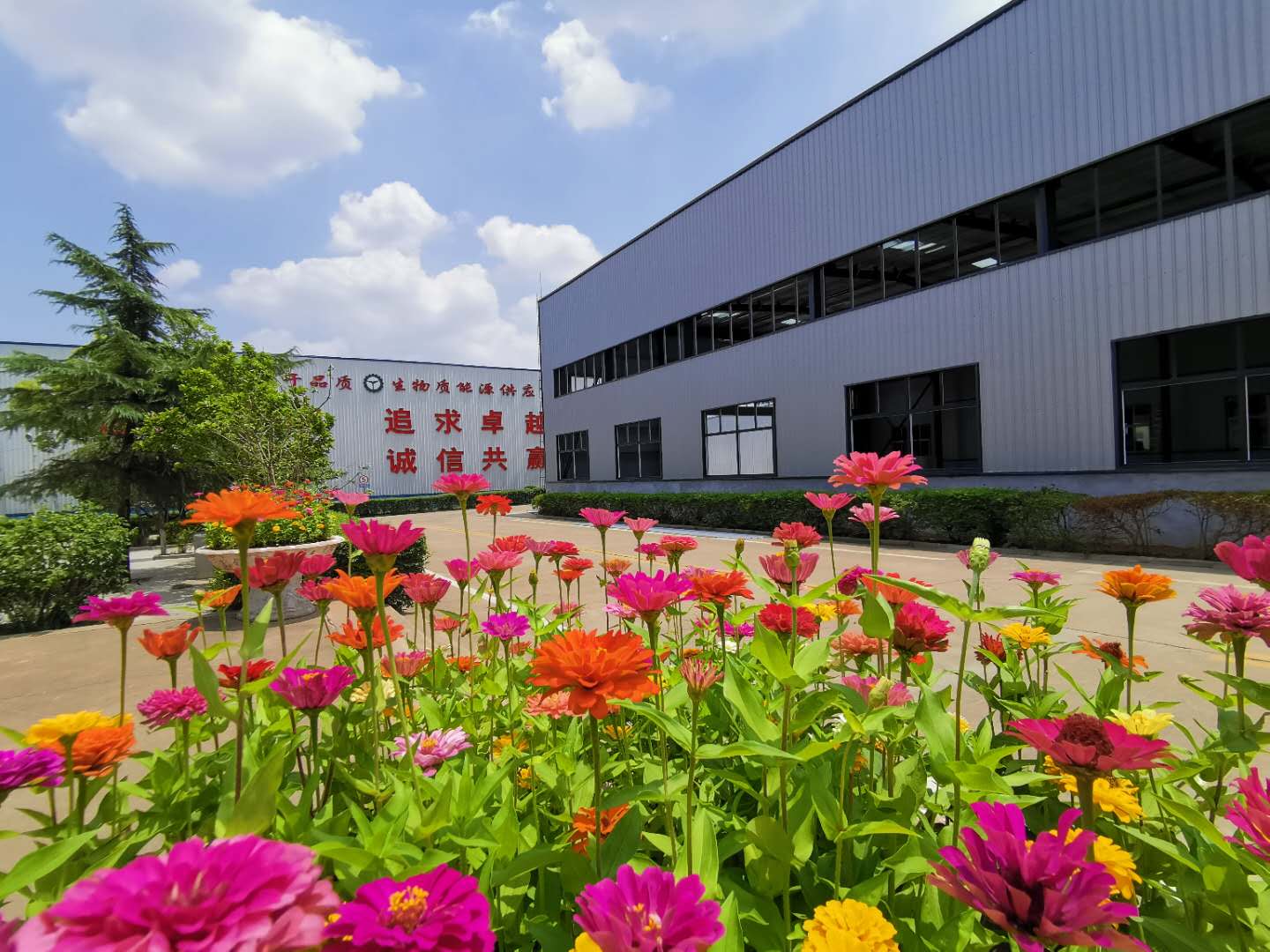 山东28圈注册网站颗；；；；；；Ъ