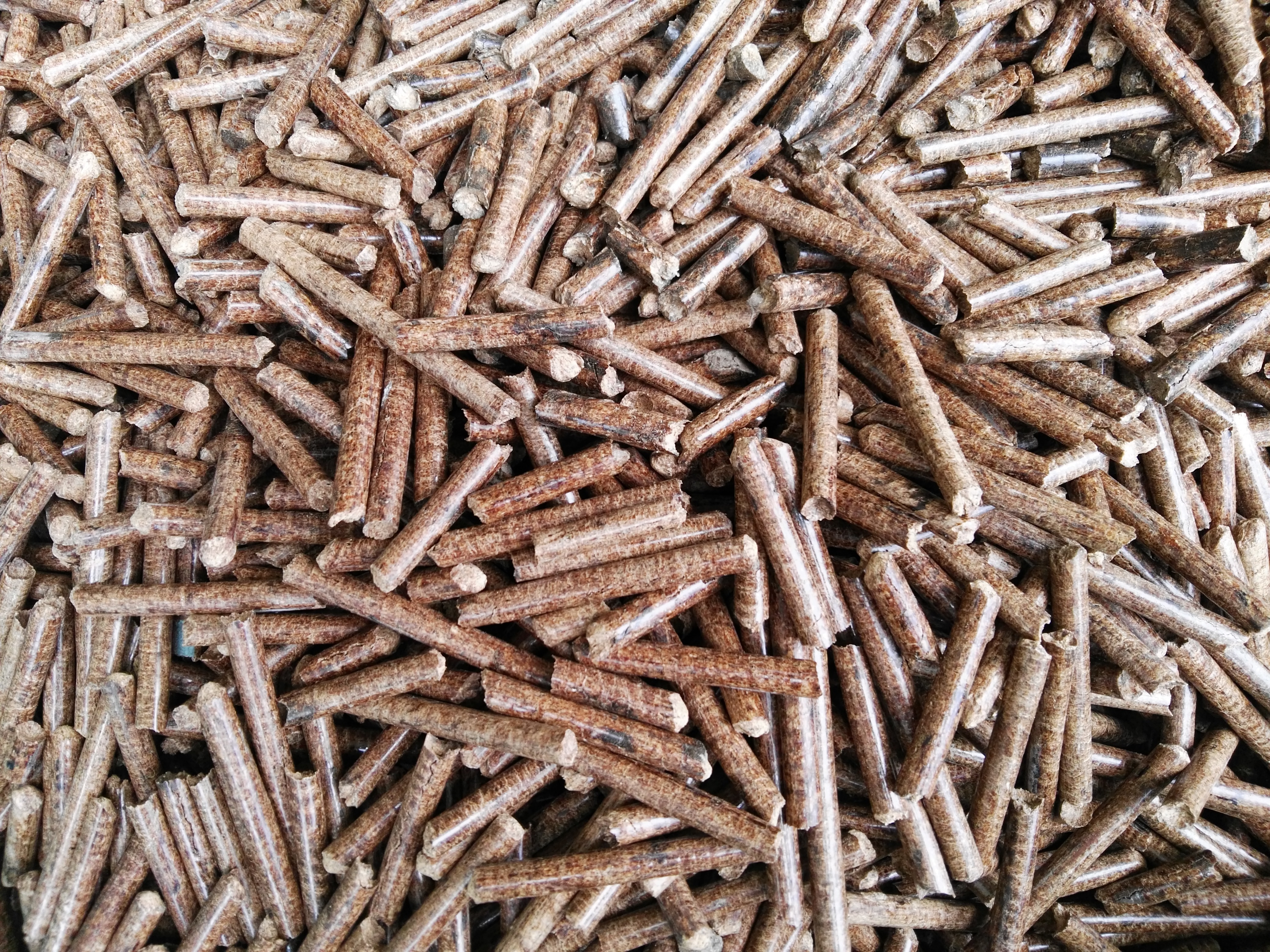 生物质颗；；；