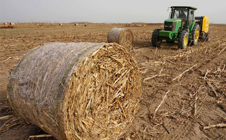 生物质颗；；；；；；