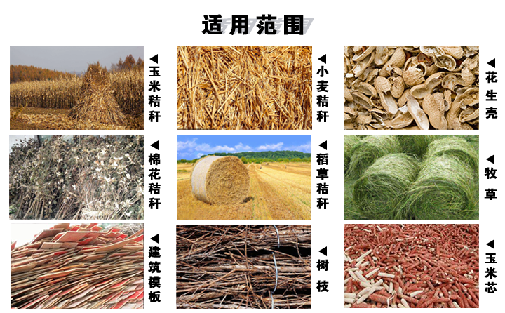 木屑颗粒；；；；；；；视弥柿