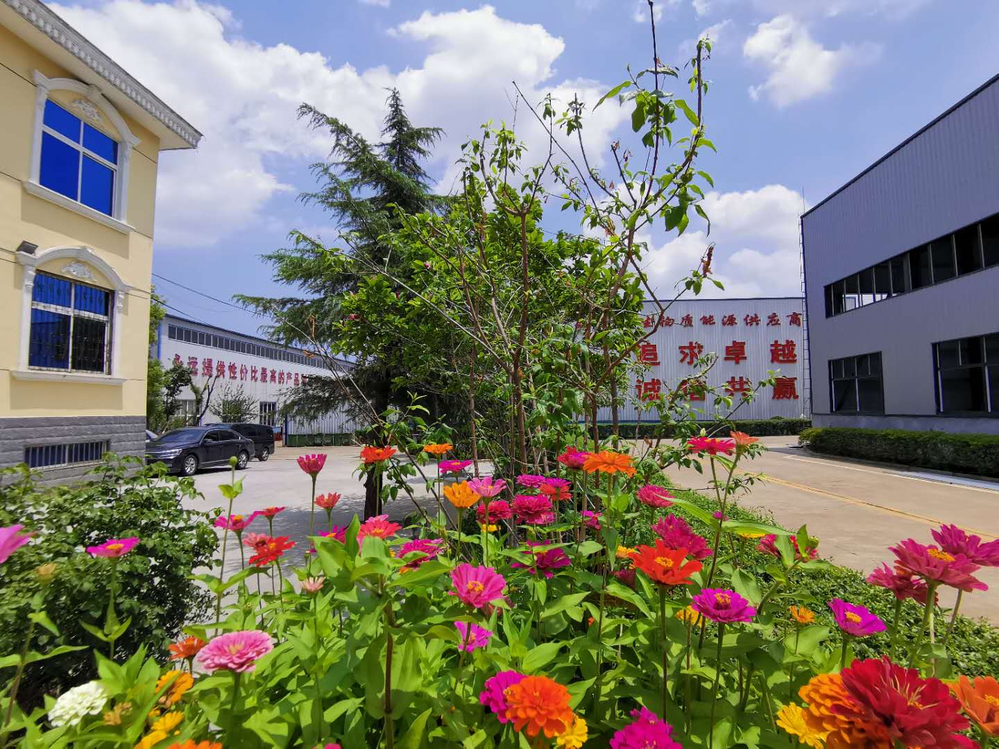 生物质颗；；；；