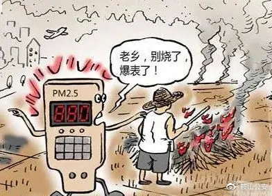 生物质颗粒唬；；；；