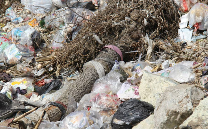 生物质颗；；；