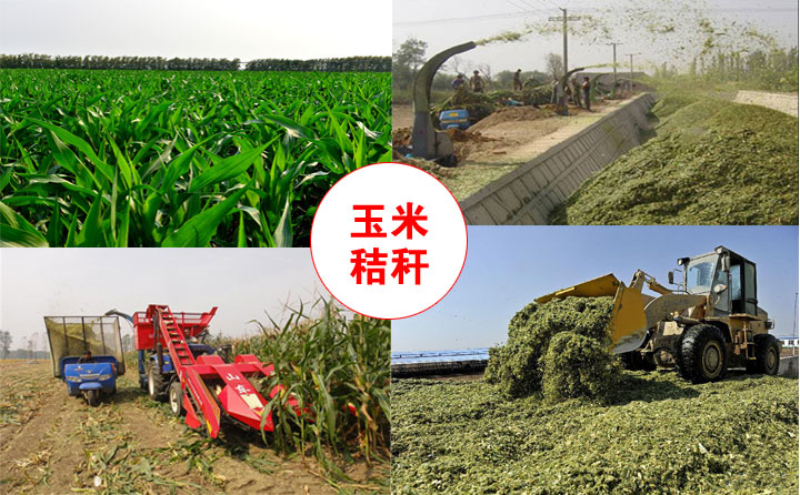 生物质颗；；；；；；；；