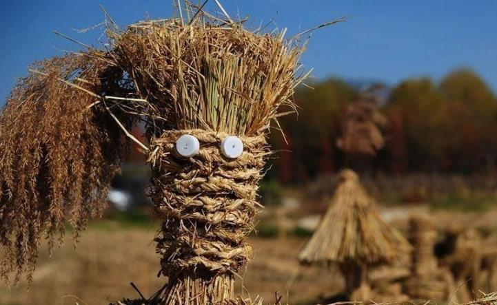 生物质燃料颗粒唬；；；；柿