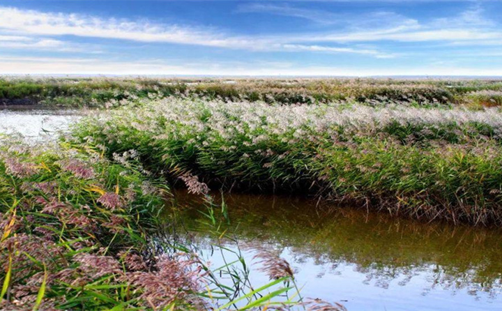 28圈注册网站(中国游)官方平台入口