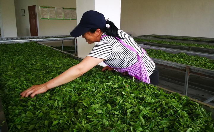 28圈注册网站(中国游)官方平台入口