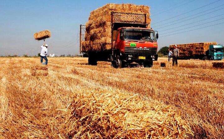 一台台秸秆打捆机正在田地里作业，，，一大片散落在地里的葵花、玉米秸秆被打包成一个个方块