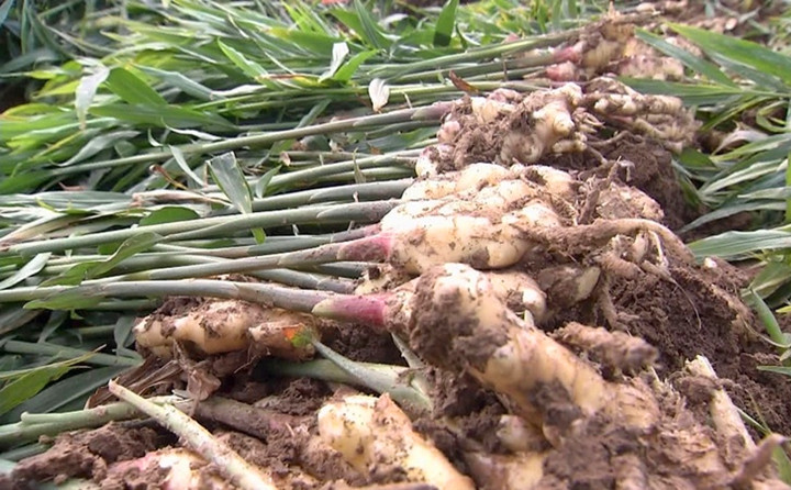 28圈注册网站(中国游)官方平台入口