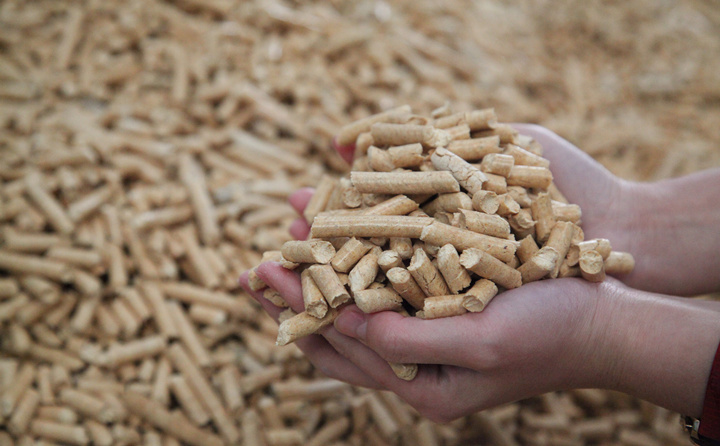 木料边角料和秸秆可别扔了，，，，用生物质颗；；；；；；；庸，，，，可以酿成颗粒燃料，，，，可以卖也可以自己用