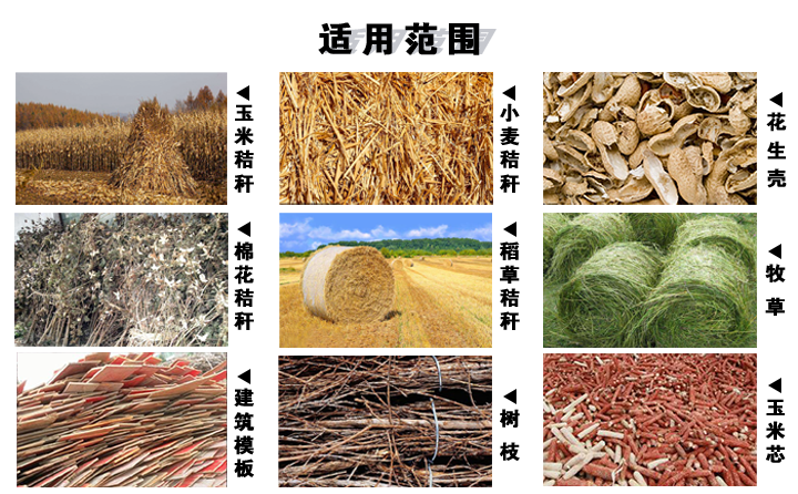 生物质颗；；；；脑柿