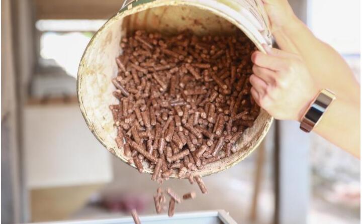 生物质颗；；；娜剂