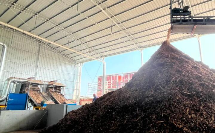 伴着霹雳隆的机械声，，，，，，，，食指是非的生物质颗粒就被生产出来，，，，，，，，从传输带上倾注而下，，，，，，，，在制品区堆成小山丘。。。。