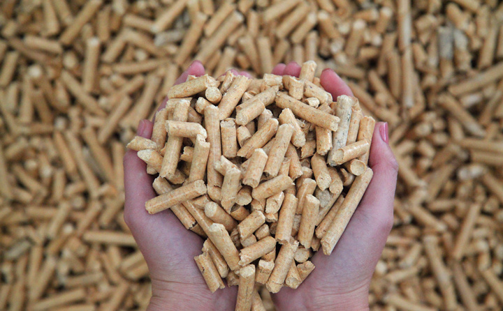 生物质颗；；；；；庸さ纳镏食尚腿剂