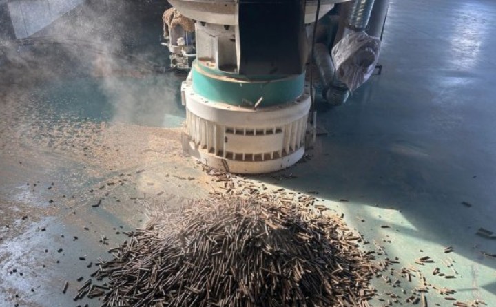 黑龙江鹤立林业局：生物质颗粒工业点燃绿色生长新引擎