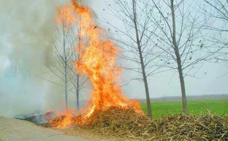 秸秆万万别烧了，，，，，尚有这些用途！