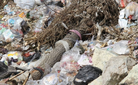 秸秆问题亟待解决，，，你有什么好步伐？？？？？？？