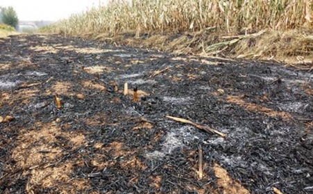 生物质颗粒唬；；；；剂先〈海豪胛颐巧杏卸嘣叮？？？？？