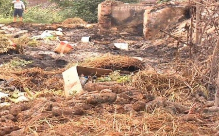 生物质颗粒唬Ｐ阅苡杏媒饩鲂笄莘啾愕奈廴疚侍