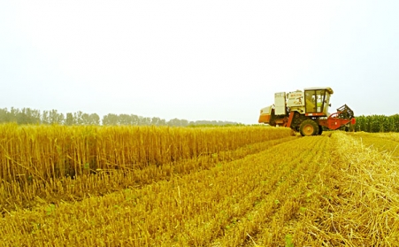 生长生物质颗粒；；；；；，，，，，，，作用良多