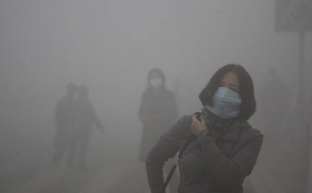 玉米秸秆颗；；；；；跹菇崭驯洹胺衔铩保浚？