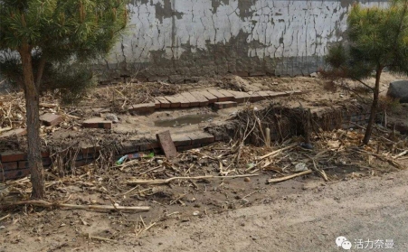 生物质颗；；；纳ぃ，，，，，，，对处置惩罚农村垃圾具有主要意义