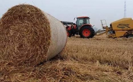 秸秆颗；；；ど镏誓茉吹于ɑ