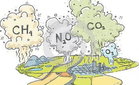秸杆怎样综合治理，，，，，，秸秆颗；；；；；；醋手