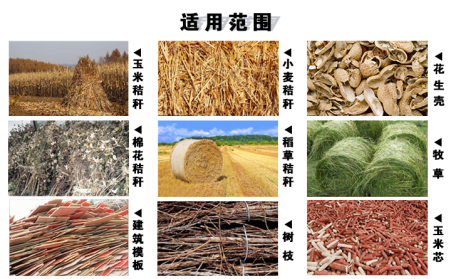 木屑颗；；；；；杏么χ贸头Ｅ┐宸牌，，，，，，生长生物质能源