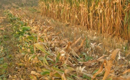 山东颗粒；；；；；；；Ъ椅舛辽镏士帕；；；；；；；；剂系哪切┦