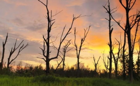 河北锯末颗；；；；；纳缁嵋庖