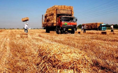 生物质燃料颗粒唬；；；柿嫌心男？？？？？主要么？？？？？