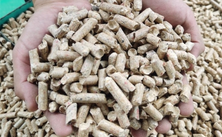 河南生物质颗；；；剂嫌肫渌剂系那