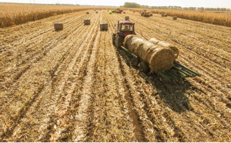 生物质颗；；；；；庸の锪鲜庇心男┳⒅厥孪