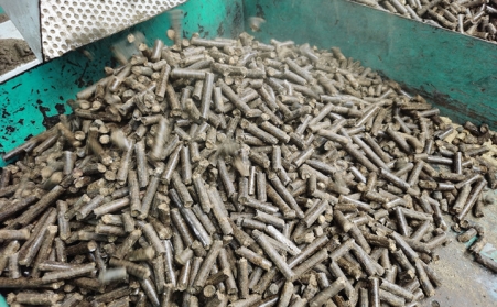 生物质颗；；；尚腿剂现洞笕