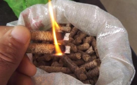 生物质颗；；；目帕Ｈ剂虾兔耗母鲎灾疲？？？？