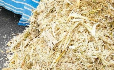 甘蔗渣想废物使用？？？？？可以思量生物质颗；；；