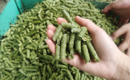 河南支持生物质能等可再生能源替换，，，，助力实现碳达峰碳中和目的