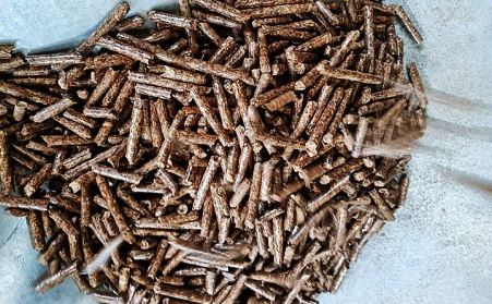 生物颗；；；；；；；庸さ目帕Ｈ剂细迷跹浞质褂