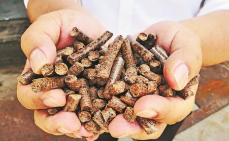 生物质颗粒；；；庸さ幕繁Ｄ拘伎帕Ｈ剂夏抢锫？？？？？？？购置应该注重哪些问题？？？？？？？